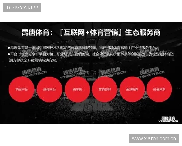 体育赛事直播版权的全球化分销思维谈